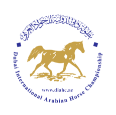 انطلاق النسخة الـ21 من بطولة دبي الدولية للجواد العربي بمشاركة أعرق سلالات الخيول العربية