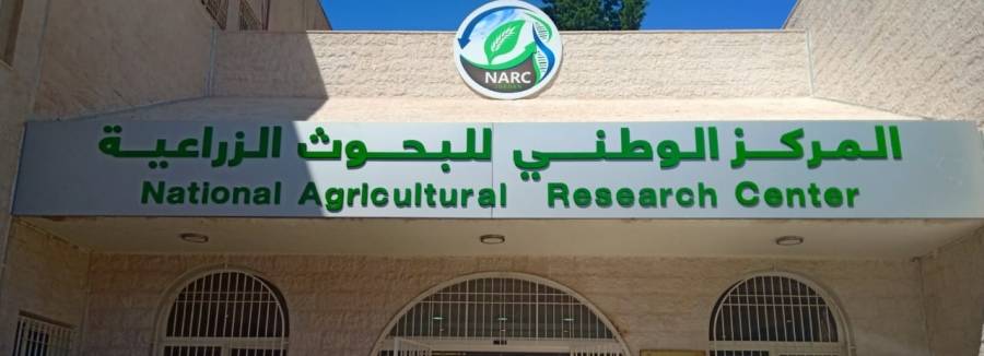 تعاون مشترك بين جايكا و NARC لتدريب الأشقاء الفلسطينيين