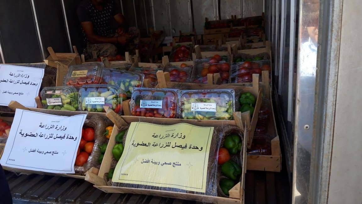 الشحاحدة يشرف على تسليم أول دفعة من محصول الزراعة العضوية لمركز الحسين للسرطان