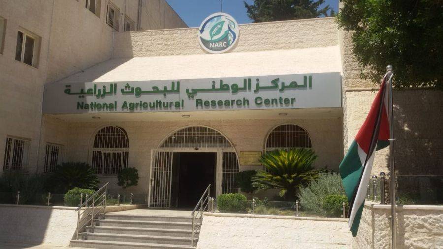 البحوث الزراعية: نسعى لتمكين السيدات في غور الصافي