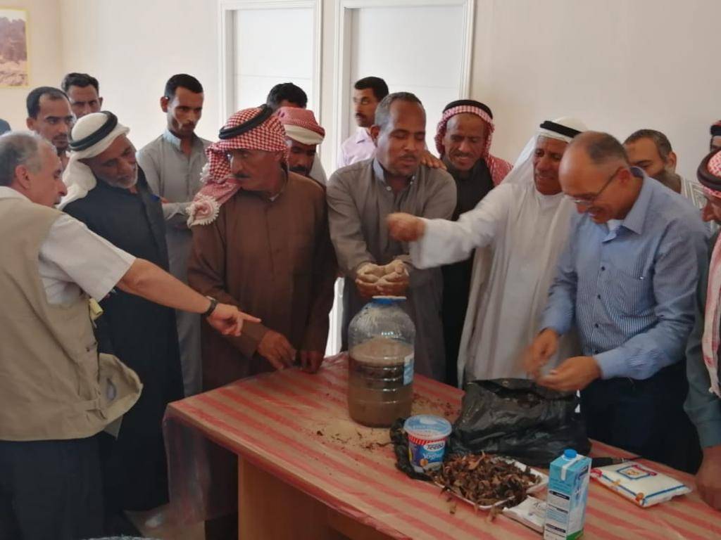 البحوث الزراعية: نسعى لزيادة  مساحات الزراعات الاستوائية في وادي عربة