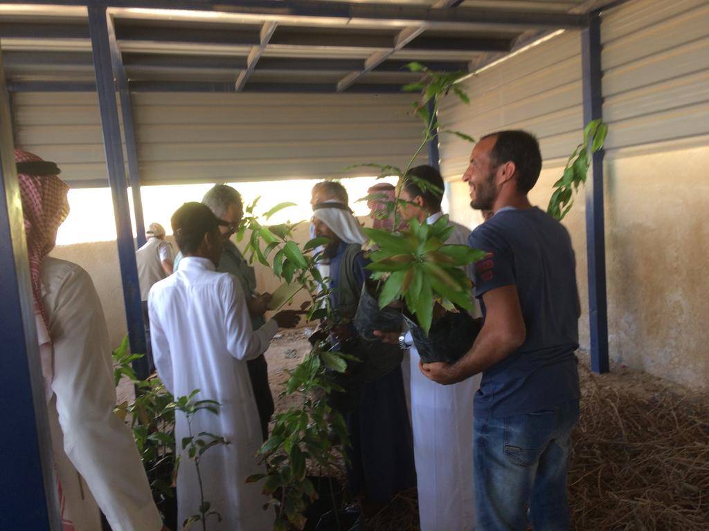 البحوث الزراعية: نسعى لزيادة  مساحات الزراعات الاستوائية في وادي عربة