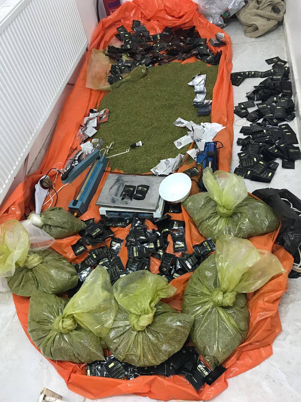 إدارة مكافحة المخدرات تنفذ حملة أمنية في الرمثا وتلقي القبض على خمسة أشخاص من المطلوبين 