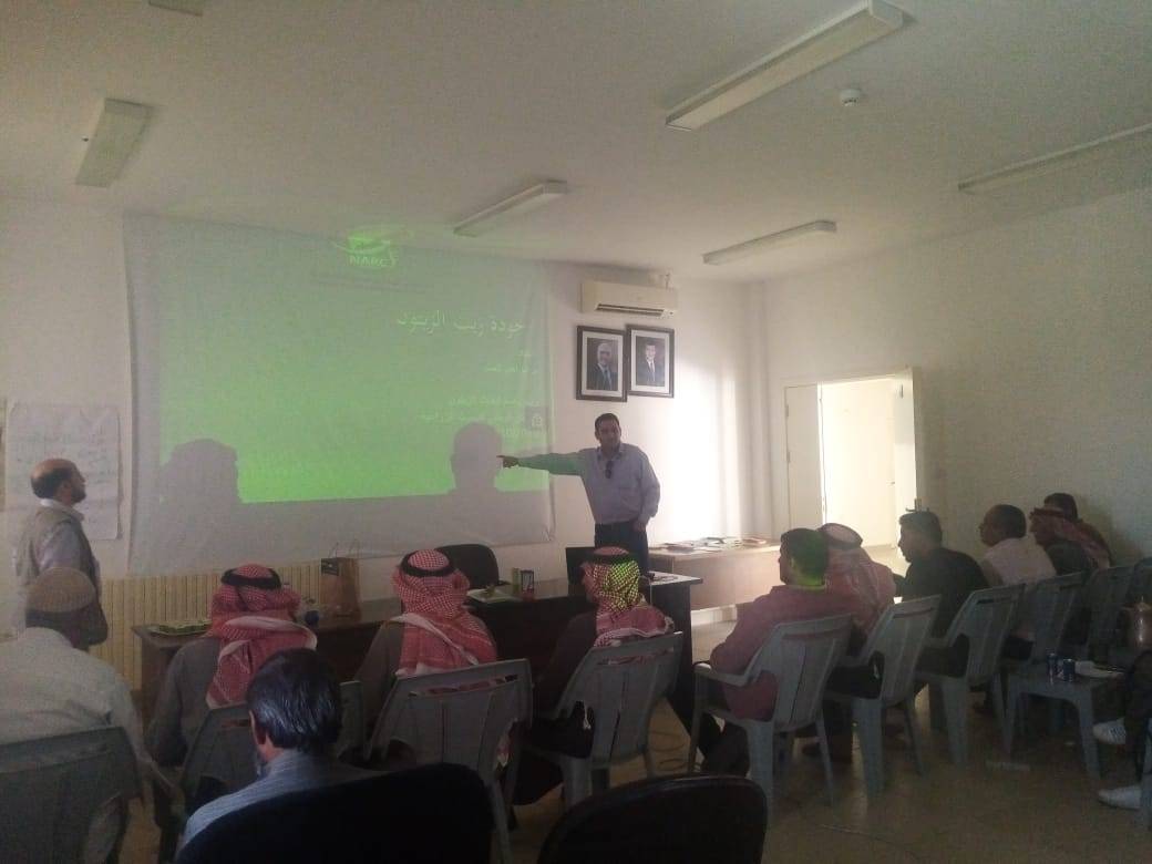 الوطني البحوث الزراعية' ينظم ورشة عمل حول إدارة بساتين الزيتون وطرق القطاف