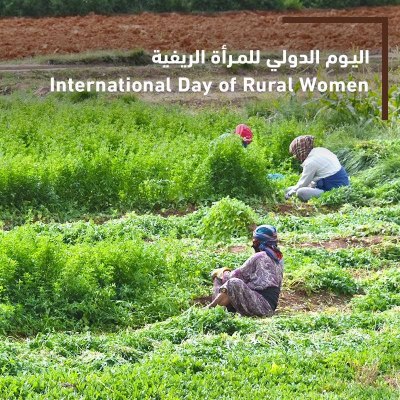 المرأة الريفية .. قوة إنتاج لا يمكن الاستغناء عنها
