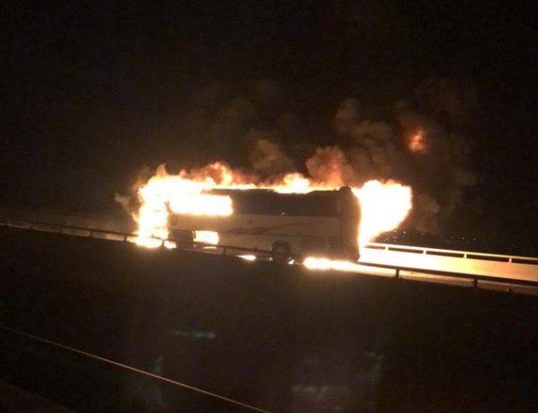 عاجل | حادث مروع.. وفاة أكثر من 30 معتمرًا في حادث مروري بالسعودية 