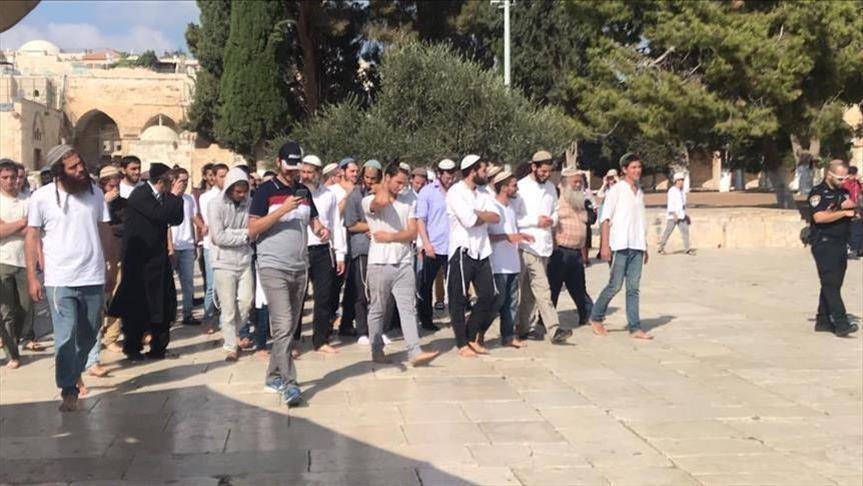 مستوطنون يقتحمون باحات المسجد الأقصى صباح اليوم