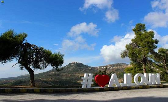 عجلون : ناشطون يطالبون بتوفير مشاريع لتحسين دخل الأسر