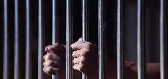 احكام بالحبس على أشخاص مشتكى عليهم بإطلاق عيارات نارية دون داعٍ وحيازة سلاح غير مرخص