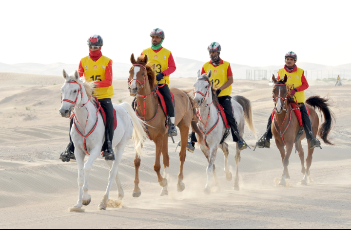 في بداية الموسم الجديد  ..  سباقات بوذيب التأهيلية لركوب القدرة والتحمل تنطلق غداً