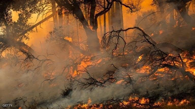 اعلان حالة الطوارئ في كاليفورنيا بسبب الحرائق
