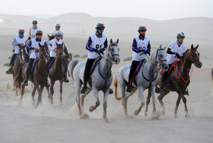 نادي تراث الإمارات يطلق  الجمعة سباقات العين لركوب القدرة والتحمل