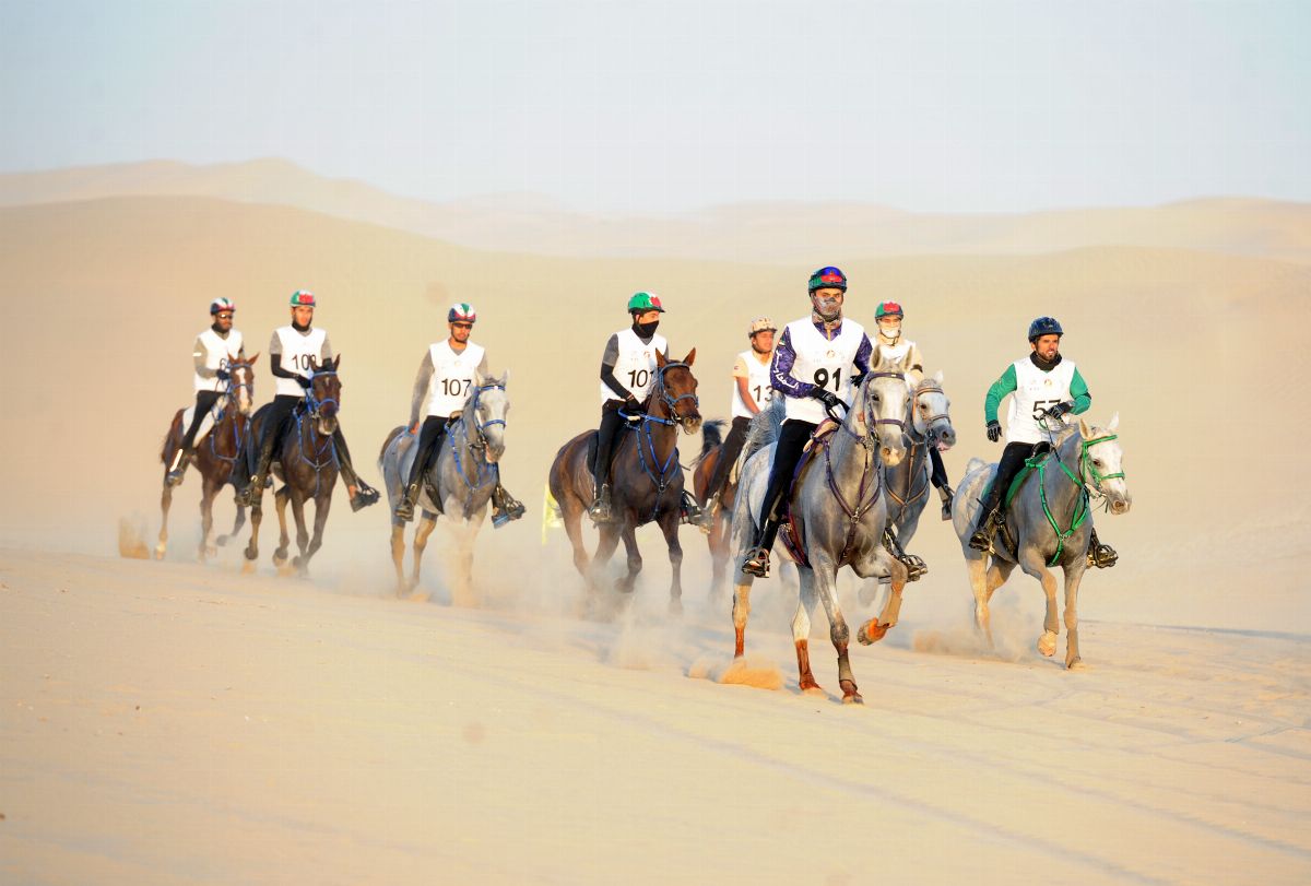 نادي تراث الإمارات يطلق  الجمعة سباقات العين لركوب القدرة والتحمل