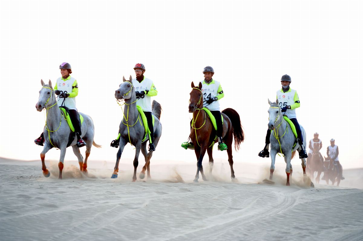 نادي تراث الإمارات يطلق  الجمعة سباقات العين لركوب القدرة والتحمل