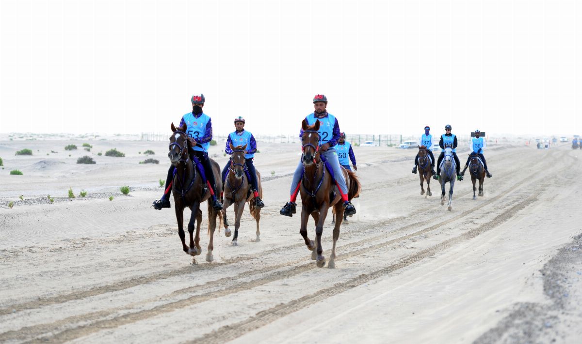 نادي تراث الإمارات يطلق  الجمعة سباقات العين لركوب القدرة والتحمل