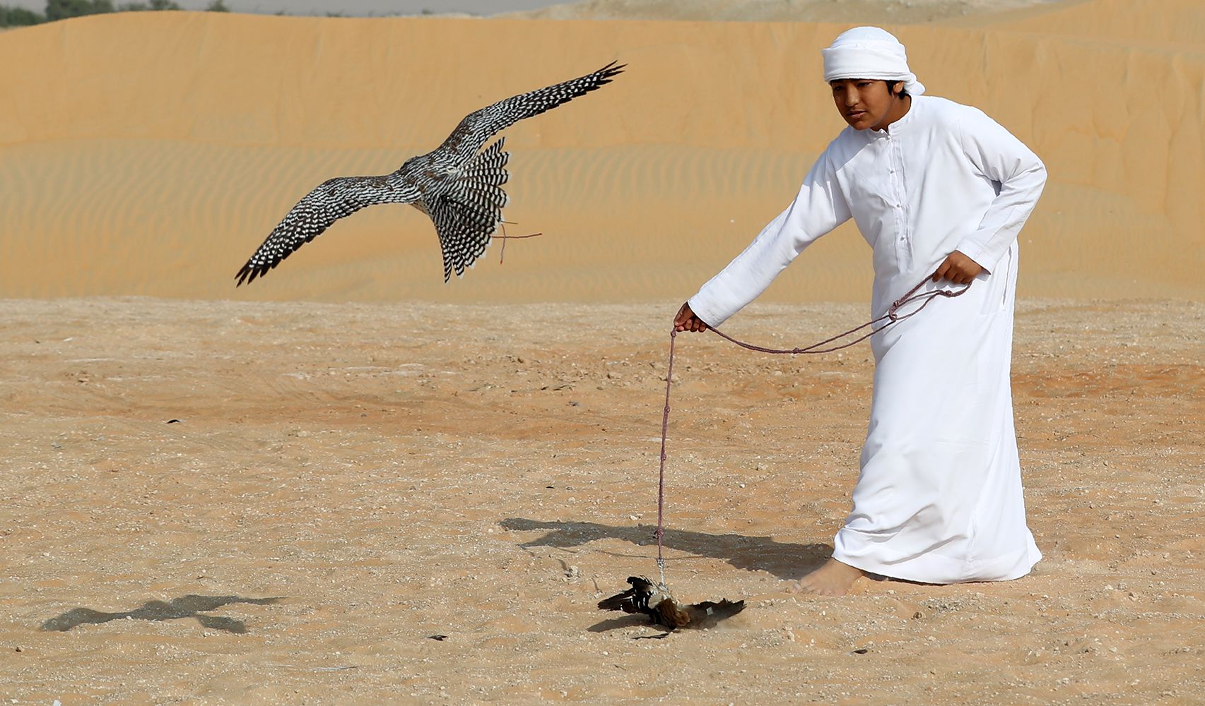 محمد بن زايد يوجه بزيادة جوائز مهرجان الظفرة بدورته ال 13