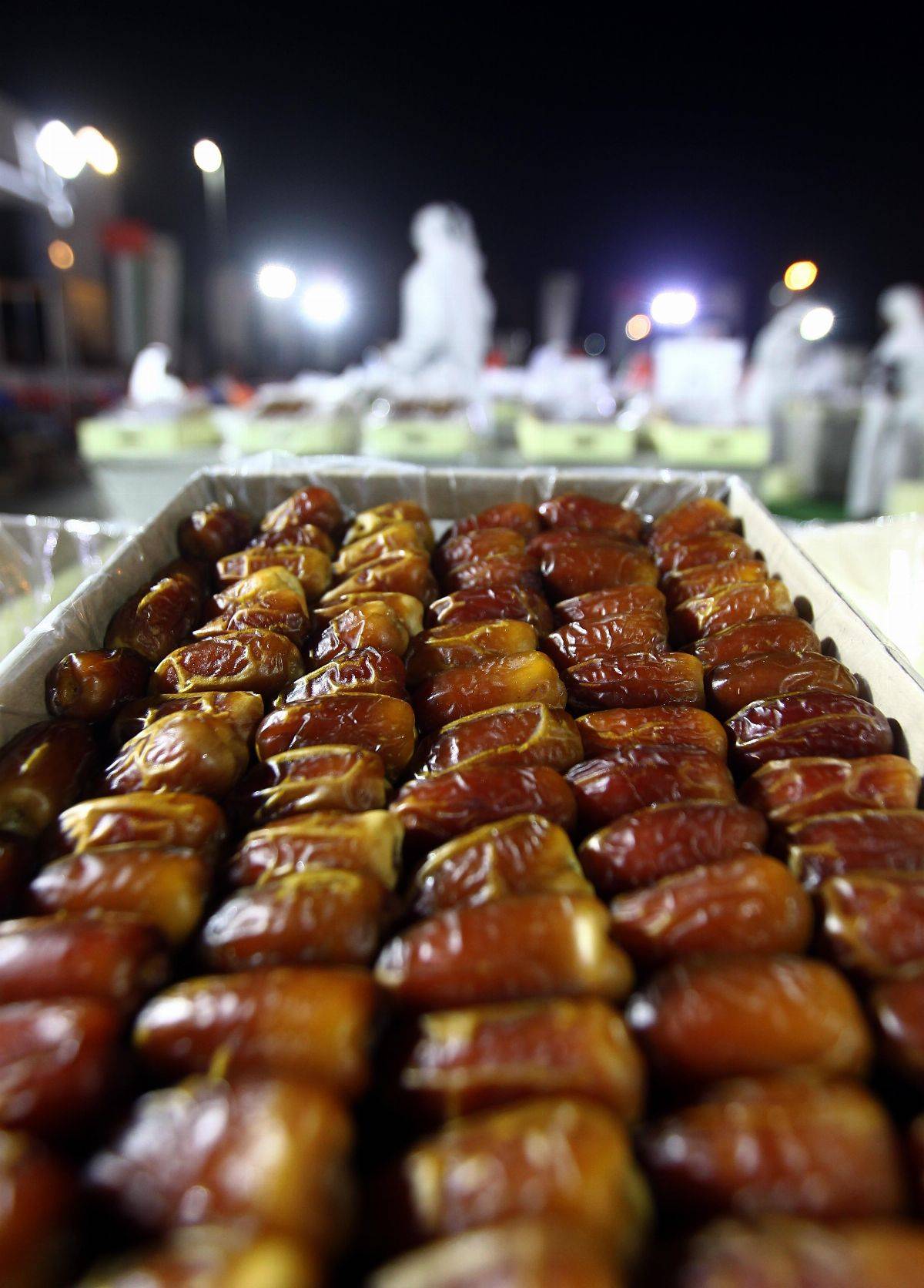 مزاد ليوا للتمور يختتم فعالياته في مجلس المشرف بأبوظبي