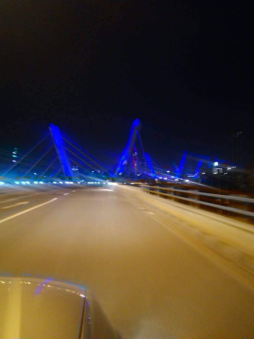 أندية الليونز تحتفل باليوم العلمي للسكري