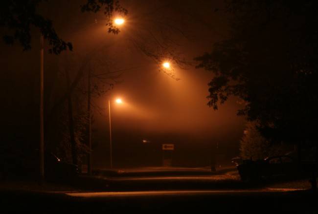 مديرية التنبؤات الجوية تحذر من الضباب في هذه المناطق