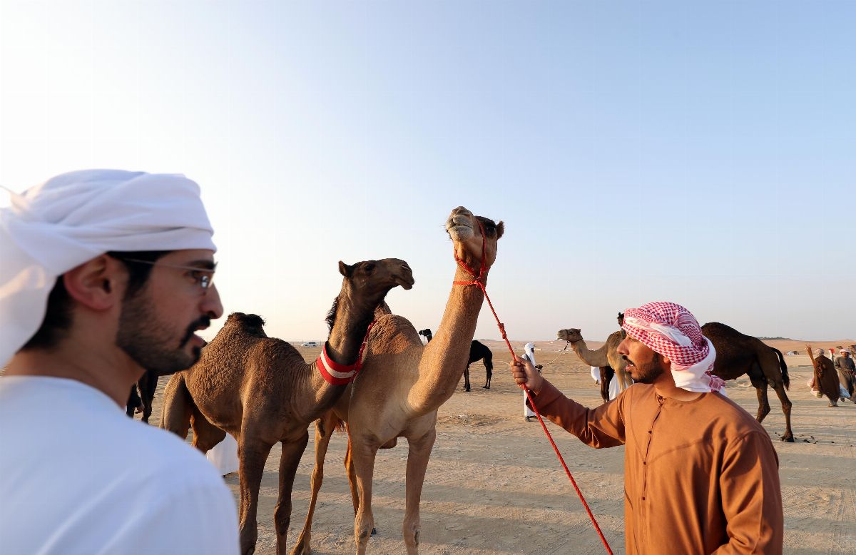 تحت رعاية محمد بن زايد  انطلاق فعاليات الدورة الـ 13 من مهرجان الظفرة