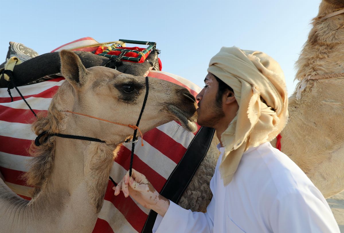 تحت رعاية محمد بن زايد  انطلاق فعاليات الدورة الـ 13 من مهرجان الظفرة