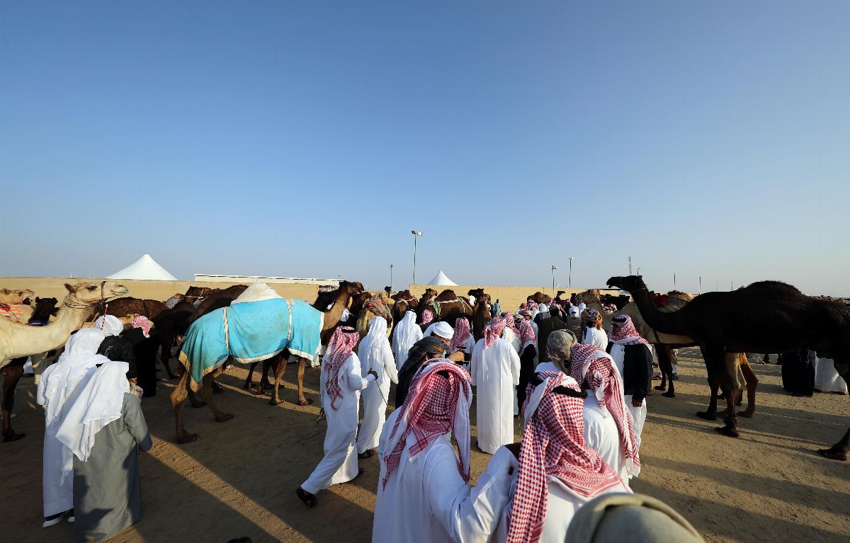 مهرجان الظفرة 2019 يجدد التقاليد التراثية ويرسخ الهوية الإماراتية