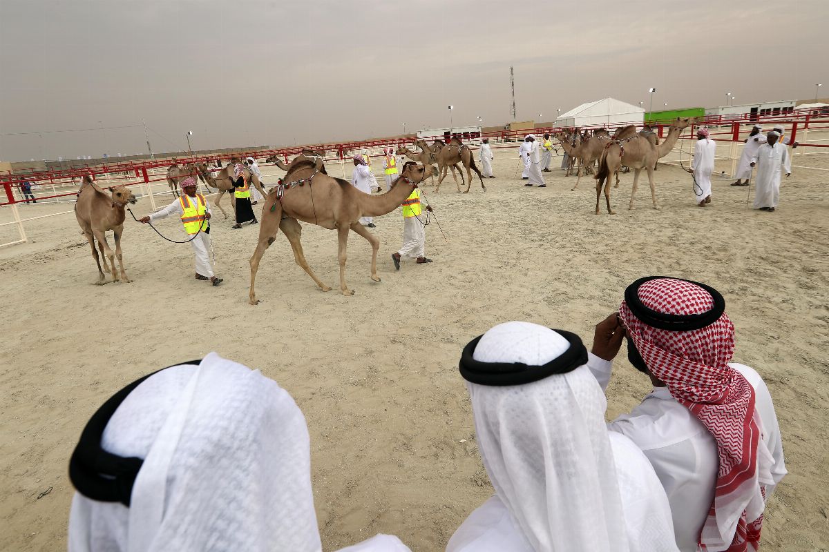 مهرجان الظفرة 2019 يجدد التقاليد التراثية ويرسخ الهوية الإماراتية