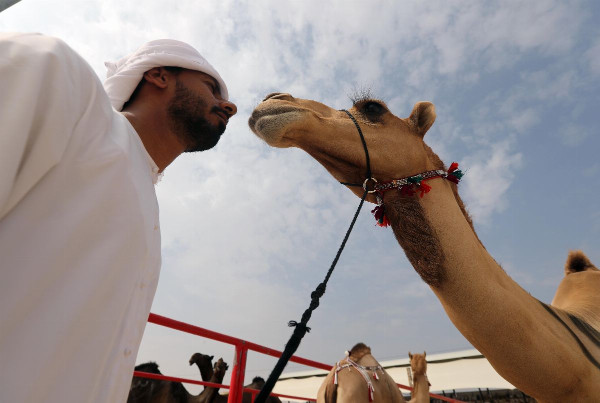 مهرجان الظفرة 2019 فعاليات تراثية متنوعة من بوابة الربع الخالي مدينة زايد