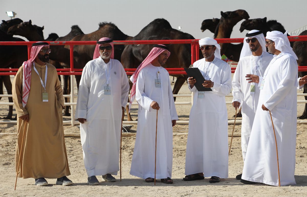 مهرجان الظفرة 2019 يتوج الفائزين في شوط أصحاب السمو الشيوخ مفاريد حقايق للمجاهيم