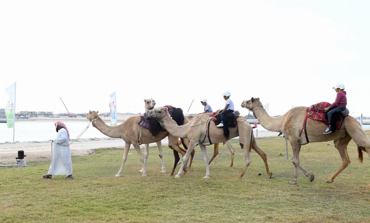 ملتقى السمالية الربيعي ينطلق غداً في جزيرة السمالية