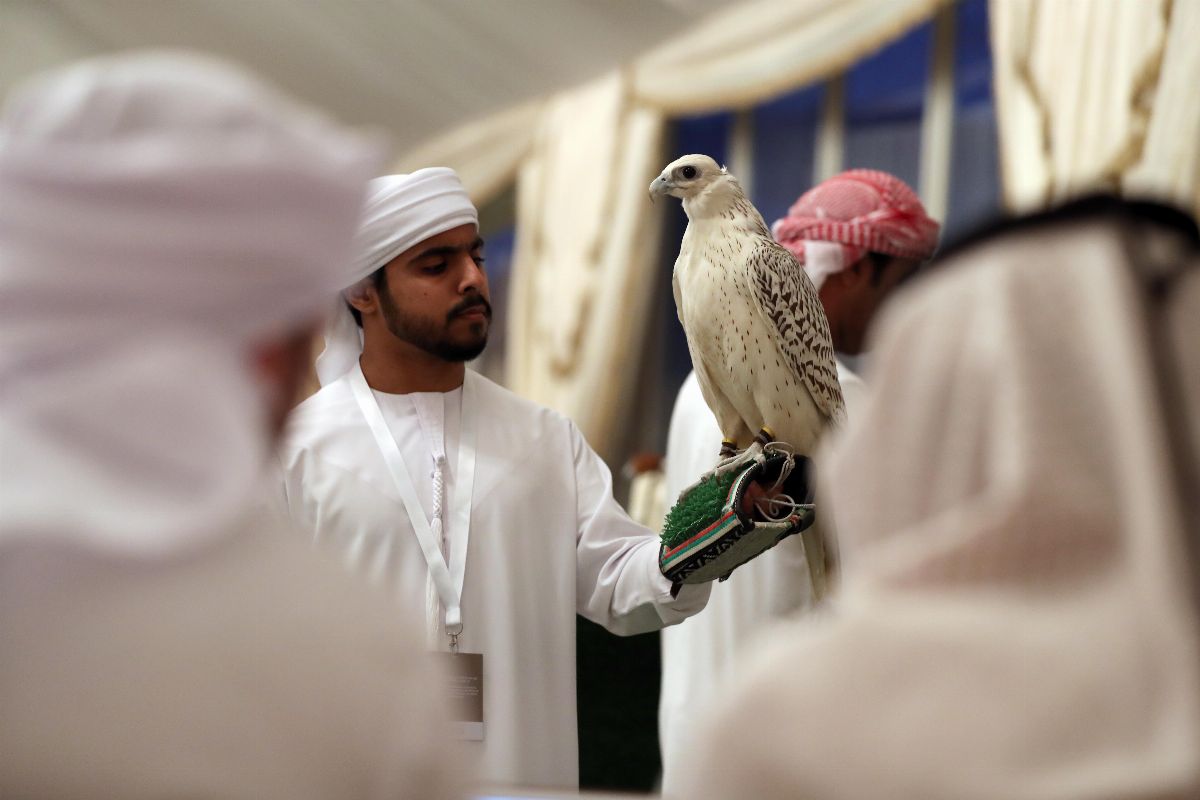 مهرجان الظفرة 2019 بدورته الـ 13 يسلط الضوء على الموروث الثقافي الإماراتي