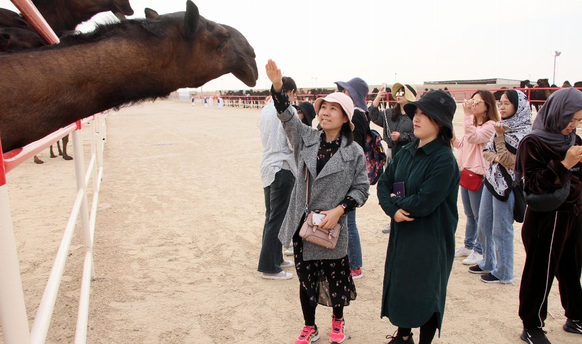 مهرجان الظفرة 2019 يواصل فعالياته وسط الطبيعة الخلابة لـ منطقة الظفرة بإمارة أبوظبي