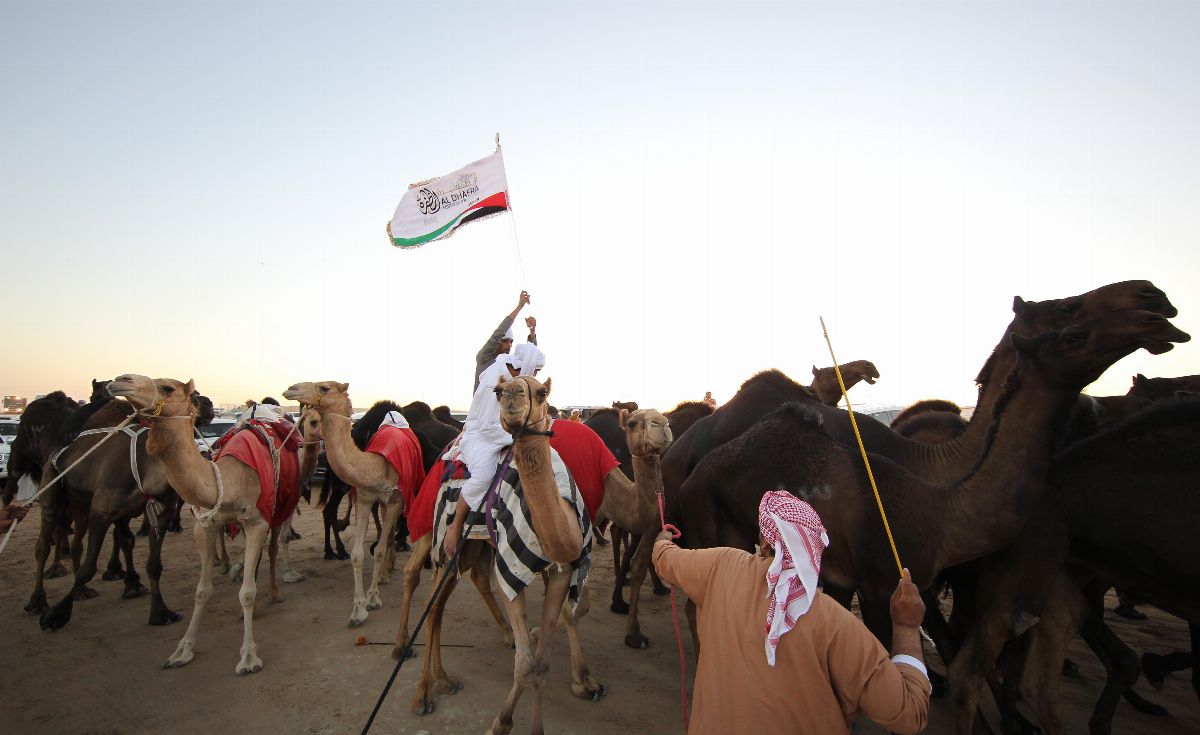 لليوم الخامس عشر على التوالي..  مهرجان الظفرة 2019 يشهد حضوراً جماهيرياً مكثفاً مع اقتراب ختام دورته الحالية