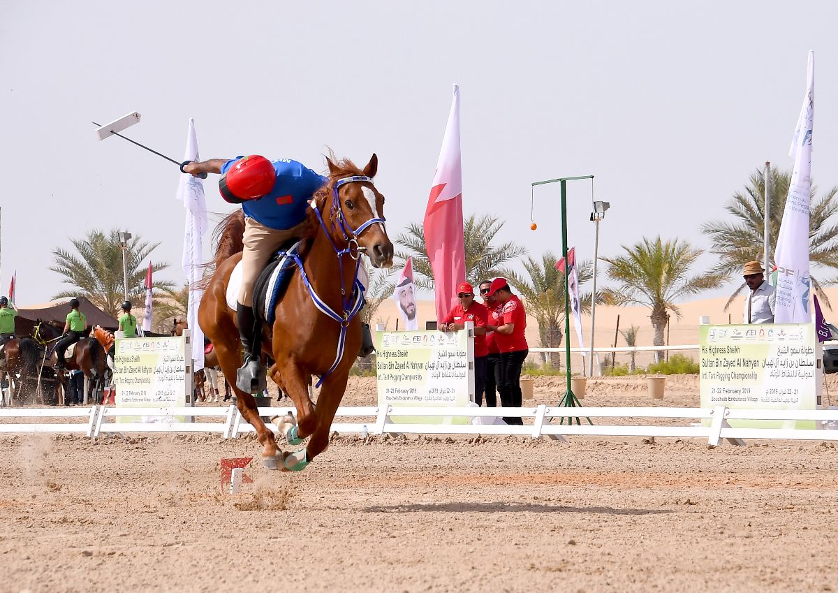 نادي تراث الإمارات يطلق بطولة الصداقة الخليجية لالتقاط الأوتاد غدا الجمعة