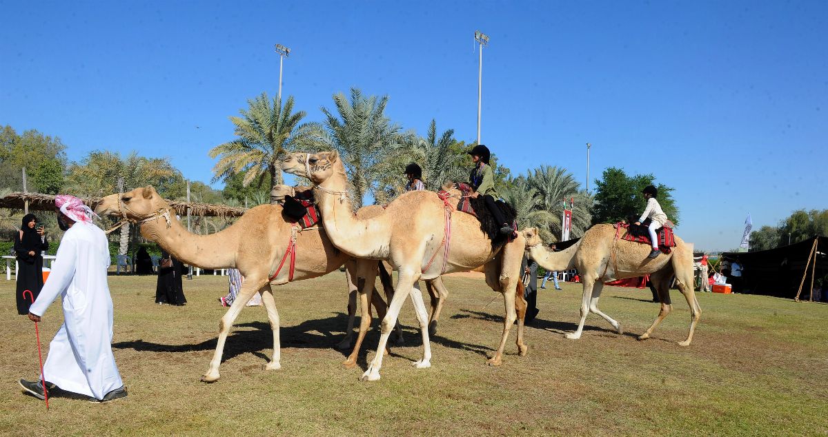 للأسبوع الثاني على التوالي .. فعاليات ملتقى السمالية الربيعي تتواصل بحضور متميز