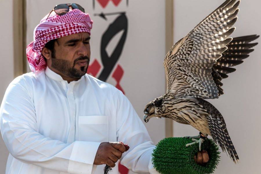 في میدان الرویة بدبي .. فزاع للصید بالصقور التلواح ترفع درجة الإثارة