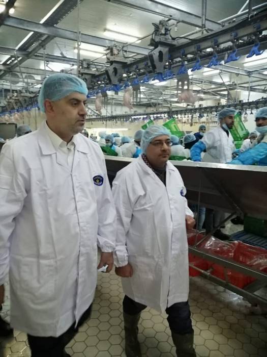 الوزير البطاينة يتفقد الشركة الوطنية للدواجن بزيارة مفاجئة