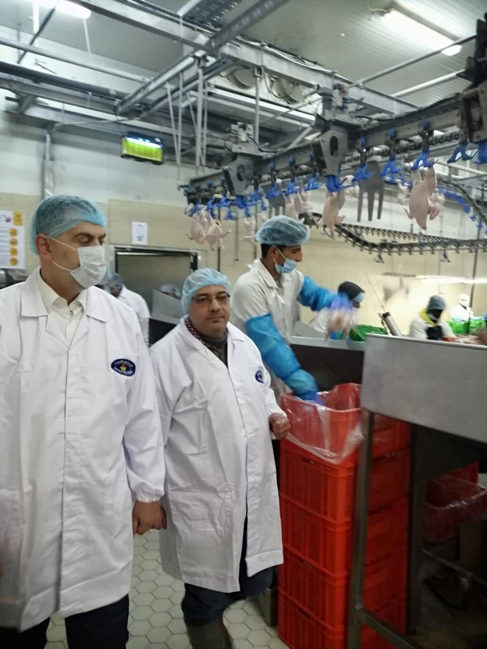 الوزير البطاينة يتفقد الشركة الوطنية للدواجن بزيارة مفاجئة