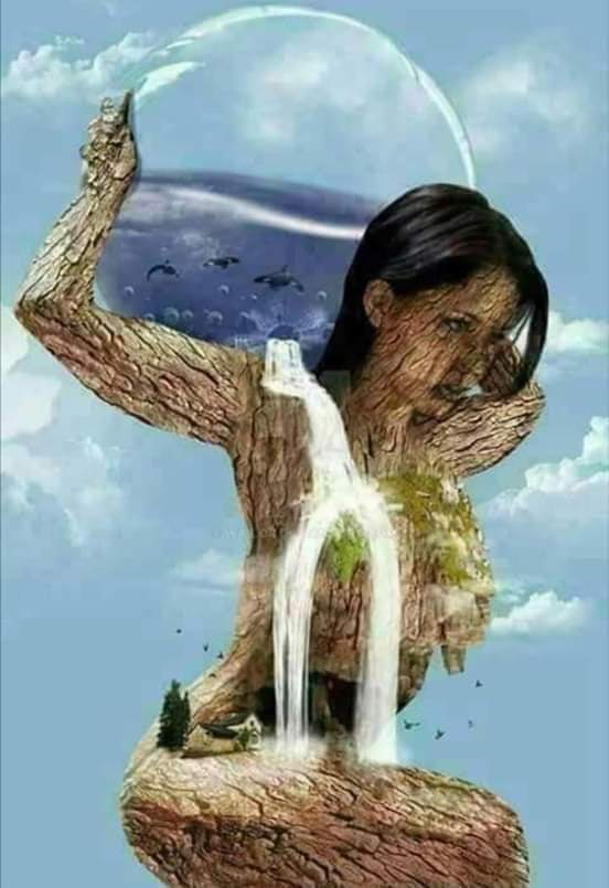 ميثاقُ شرفٍ أنثوي .. كتبت الدكتورة مجد خليل القبالين 