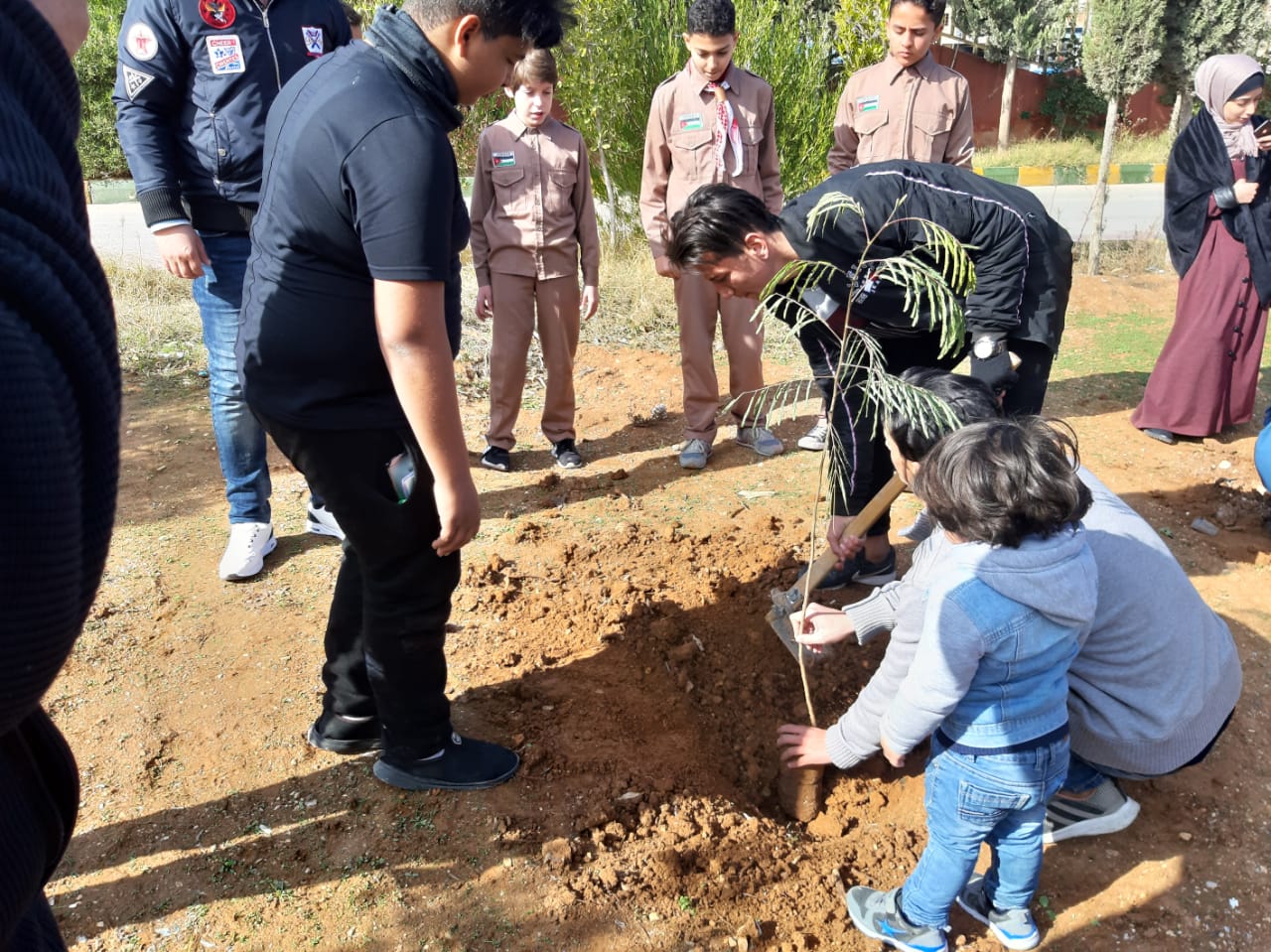 مدينة الامير محمد للشباب تحتفل بيوم الشجرة الوطني بزراعة 250 شجرة حرجية