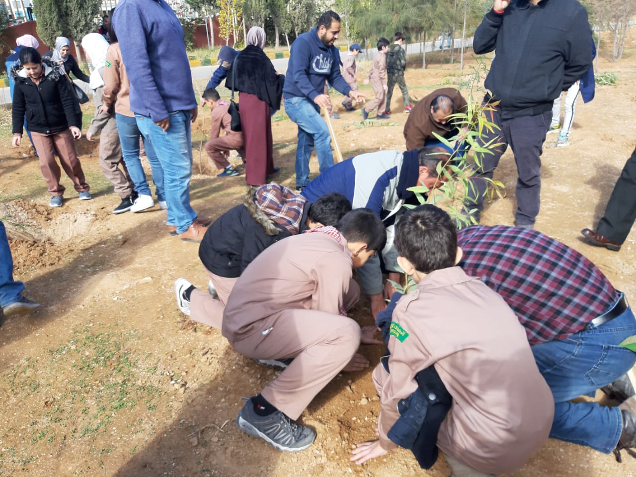 مدينة الامير محمد للشباب تحتفل بيوم الشجرة الوطني بزراعة 250 شجرة حرجية