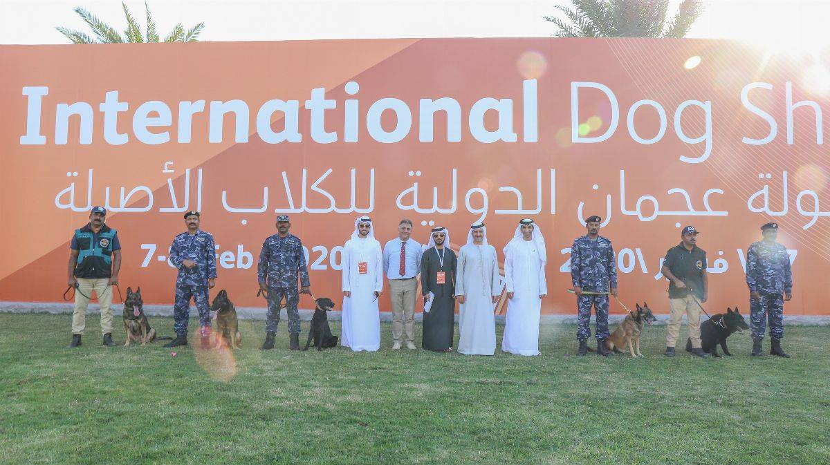 دائرة التنمیة السیاحیة تختتم بطولة عجمان الدولیة للكلاب الاصیلة