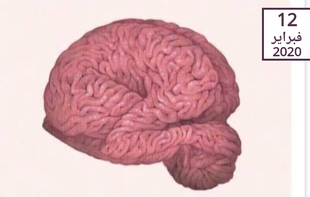 الأمّة مسمومة .. بقلم الدكتورة عصمت حوسو 