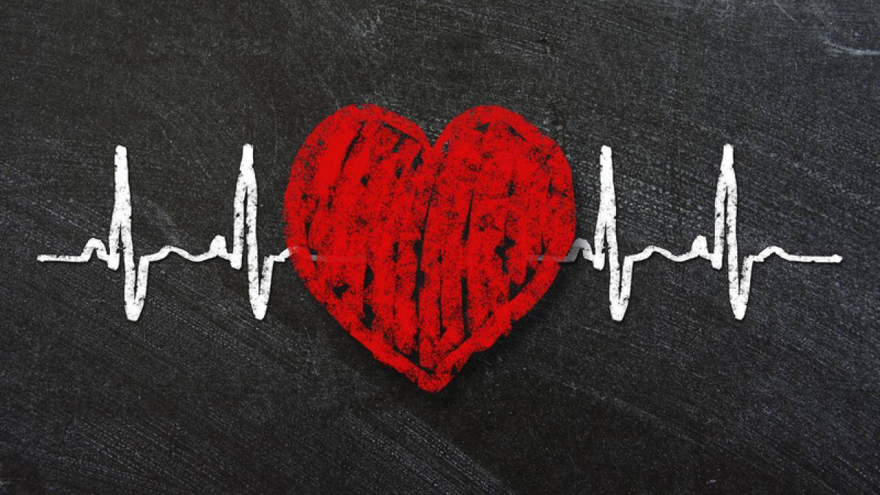 عيد الحُب .. أم عيد الإحتفال بمن يستحق حُبنا .. !! كتبت الدكتورة مجد خليل القبالين