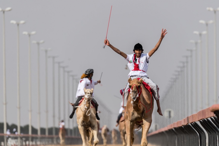 الحميري يتوج لقب ماراثون اليوم الوطني للهجن