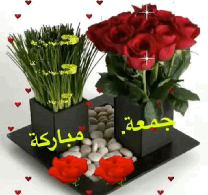 بالتزامن  مع الاحتفال بالفالنتاين عيد الحب .. بقلم  سحر حمزة