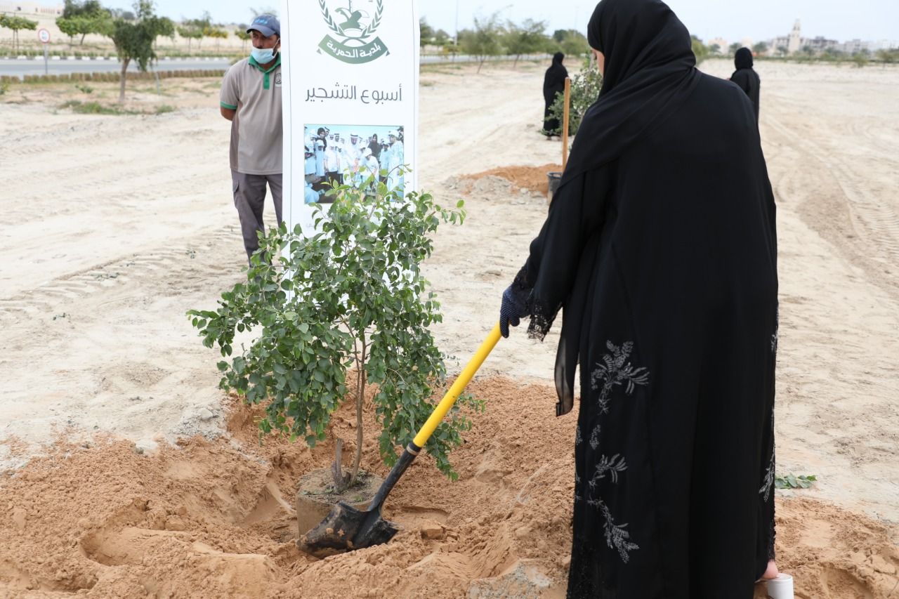 بلدية الحمرية تطلق مشروعها (نزرع للمستقبل) 