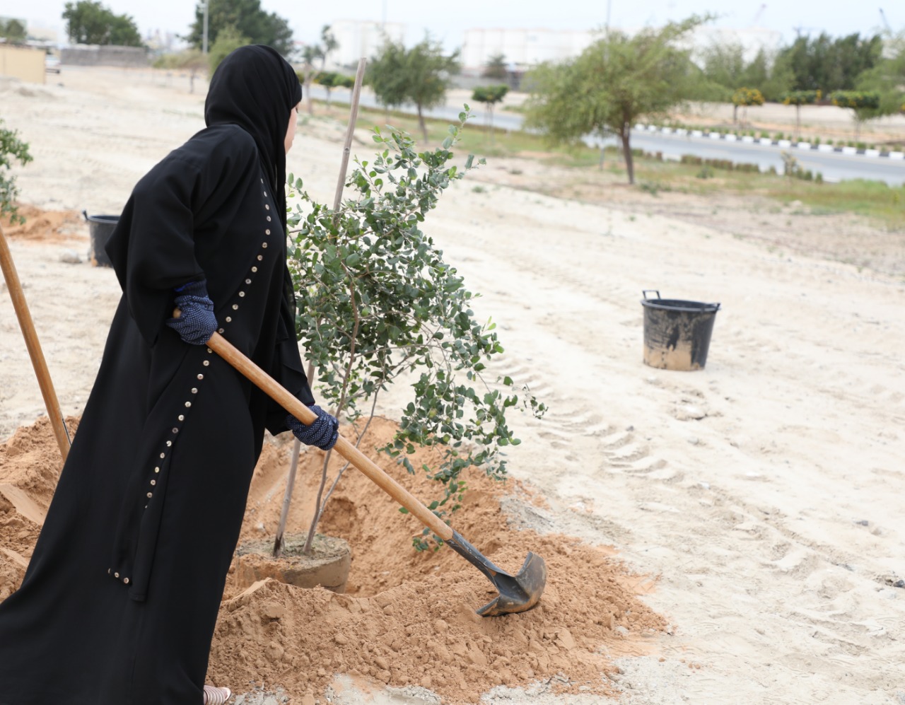 بلدية الحمرية تطلق مشروعها (نزرع للمستقبل) 