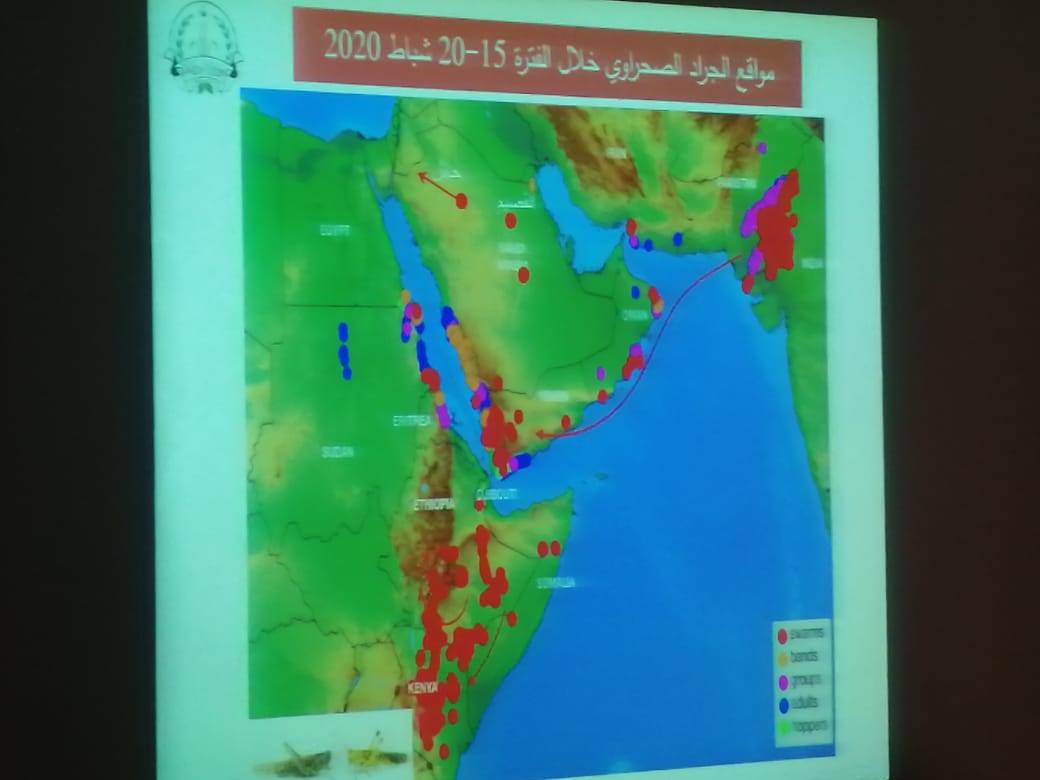 وزير الزراعة : الحدث ليس سهل ولدينا الجاهزية التامة لمكافحة  الجراد الصحراوي