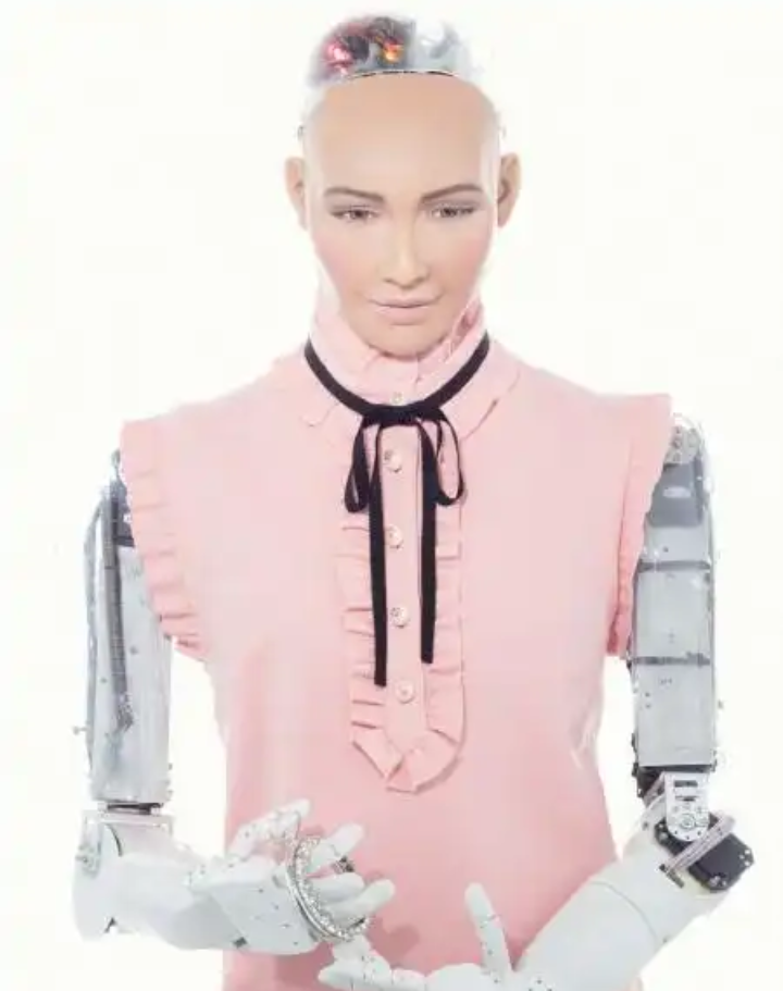 استضافة الروبوت صوفيا لتناقش الذكاء الاصطناعي في مهنة التدقيق الداخلي